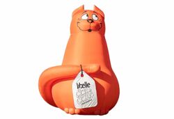 Chat - Libelle 